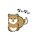 今日も柴犬が可愛い5 -胡麻柴-（個別スタンプ：35）