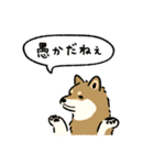 今日も柴犬が可愛い5 -胡麻柴-（個別スタンプ：36）