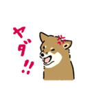 今日も柴犬が可愛い5 -胡麻柴-（個別スタンプ：39）