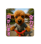【 3D 】 トイちん スタンプ（個別スタンプ：3）