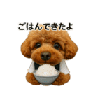 【 3D 】 トイちん スタンプ（個別スタンプ：6）