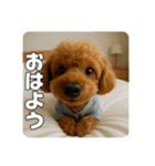 【 3D 】 トイちん スタンプ（個別スタンプ：16）
