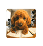 【 3D 】 トイちん スタンプ（個別スタンプ：20）