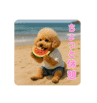 【 3D 】 トイちん スタンプ（個別スタンプ：22）