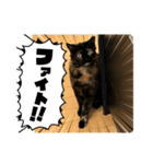 アラレちゃんの大冒険（個別スタンプ：3）