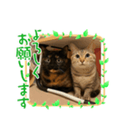 アラレちゃんの大冒険（個別スタンプ：5）