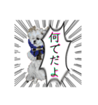 勢いのある犬猫（個別スタンプ：26）