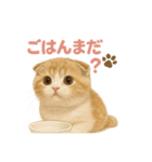 子ネコverスコティッシュフォールド（個別スタンプ：7）