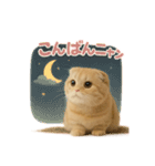 子ネコverスコティッシュフォールド（個別スタンプ：14）
