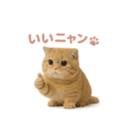 子ネコverスコティッシュフォールド（個別スタンプ：16）