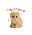 子ネコverスコティッシュフォールド（個別スタンプ：21）