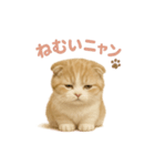 子ネコverスコティッシュフォールド（個別スタンプ：24）
