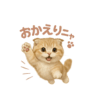 子ネコverスコティッシュフォールド（個別スタンプ：30）