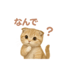 子ネコverスコティッシュフォールド（個別スタンプ：31）