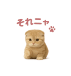 子ネコverスコティッシュフォールド（個別スタンプ：36）