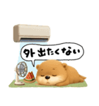 こつめっちのあいさつ(夏あり)（個別スタンプ：13）