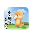 こつめっちのあいさつ(夏あり)（個別スタンプ：35）