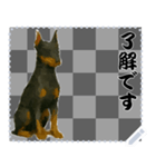 犬の メッセージ スタンプ 50（個別スタンプ：2）