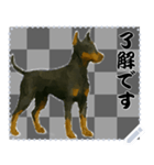 犬の メッセージ スタンプ 50（個別スタンプ：7）