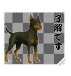 犬の メッセージ スタンプ 50（個別スタンプ：9）