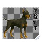犬の メッセージ スタンプ 50（個別スタンプ：10）