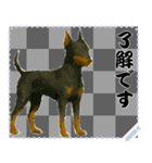 犬の メッセージ スタンプ 50（個別スタンプ：12）