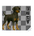 犬の メッセージ スタンプ 50（個別スタンプ：15）