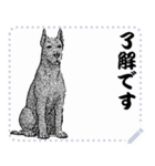 犬の メッセージ スタンプ 02（個別スタンプ：1）