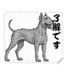 犬の メッセージ スタンプ 02（個別スタンプ：3）