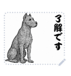 犬の メッセージ スタンプ 02（個別スタンプ：4）