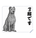 犬の メッセージ スタンプ 02（個別スタンプ：5）
