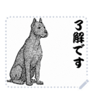 犬の メッセージ スタンプ 02（個別スタンプ：7）