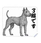 犬の メッセージ スタンプ 02（個別スタンプ：10）