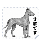 犬の メッセージ スタンプ 02（個別スタンプ：12）