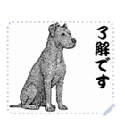 犬の メッセージ スタンプ 02（個別スタンプ：13）