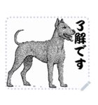 犬の メッセージ スタンプ 02（個別スタンプ：16）