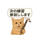 クラリネットが趣味な茶トラの週末（個別スタンプ：7）