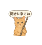 クラリネットが趣味な茶トラの週末（個別スタンプ：12）