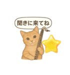 クラリネットが趣味な茶トラの週末（個別スタンプ：13）
