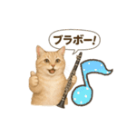 クラリネットが趣味な茶トラの週末（個別スタンプ：16）