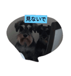 ミナミキッズ2号（個別スタンプ：5）
