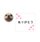 ポメチワのUruくん(10)（個別スタンプ：4）