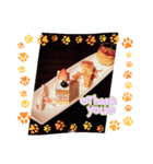 リアクション-12（個別スタンプ：1）