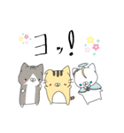 薄毛猫のコモンくん〜軽いあいさつ編（個別スタンプ：3）
