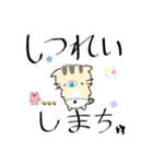 薄毛猫のコモンくん〜軽いあいさつ編（個別スタンプ：4）