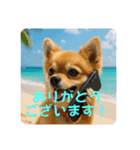 癒しワンコtme00880202（個別スタンプ：8）