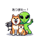 宇宙飛行士 柴犬 健康体形で旅をする（個別スタンプ：1）