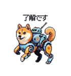 宇宙飛行士 柴犬 健康体形で旅をする（個別スタンプ：3）