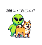宇宙飛行士 柴犬 健康体形で旅をする（個別スタンプ：5）