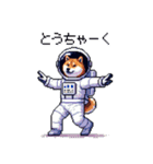 宇宙飛行士 柴犬 健康体形で旅をする（個別スタンプ：6）